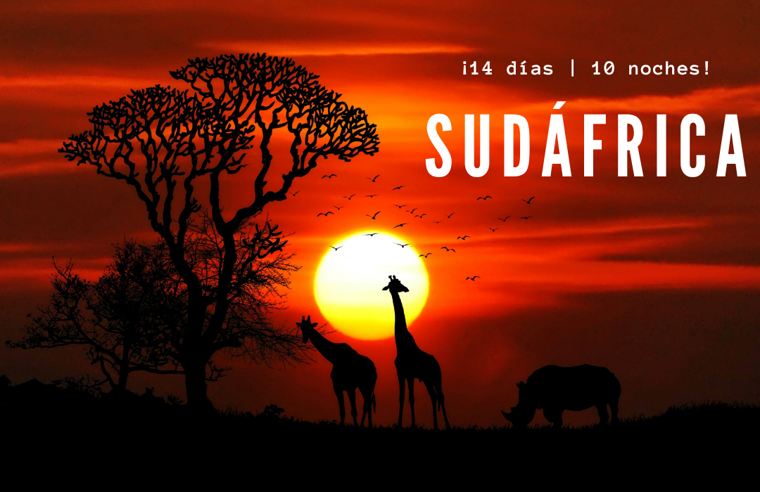 Turquía  Estambul, Sudáfrica, Ciudad Del Cabo, Johannesburgo, Sun City.