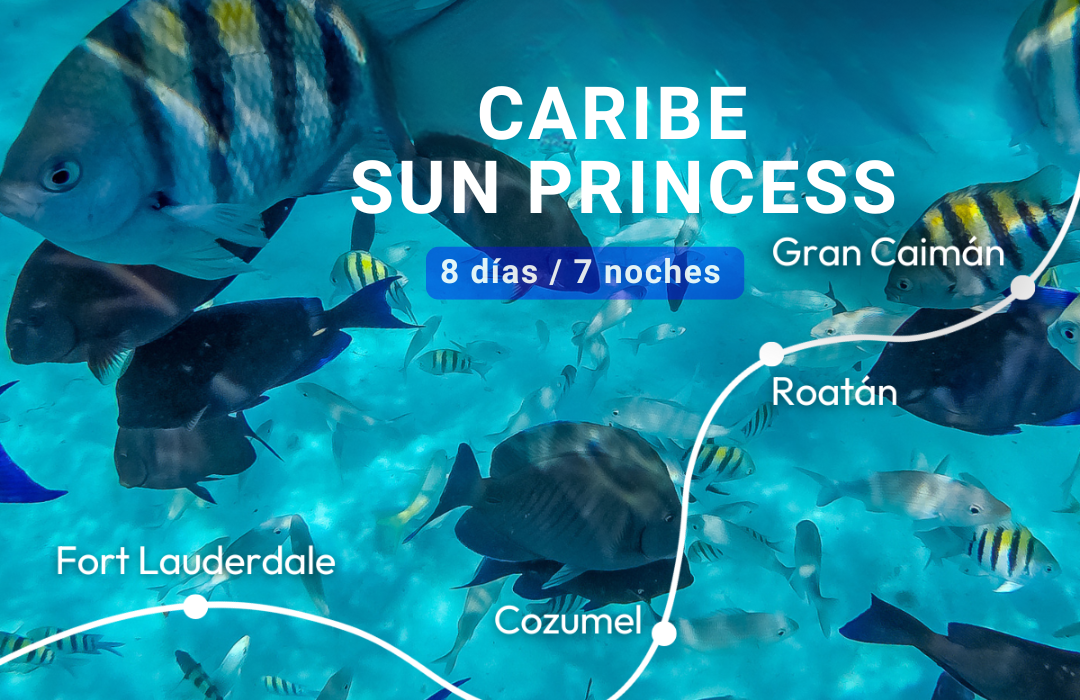 Estados Unidos, México y  Honduras...